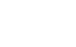 Battle Bones